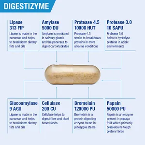 Lamberts Digestizyme Capsules Pack of 100