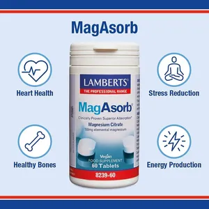Lamberts MagAsorb Tablets Pack of 60