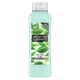 Alberto Balsam Tea Tree Tingle Conditioner 350ml