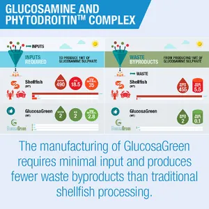 Lamberts Glucosamine & Phytodroitin Complex Tablets Pack of 120