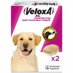 Veloxa XL Chewable Tablets for Dogs Pack of 2
