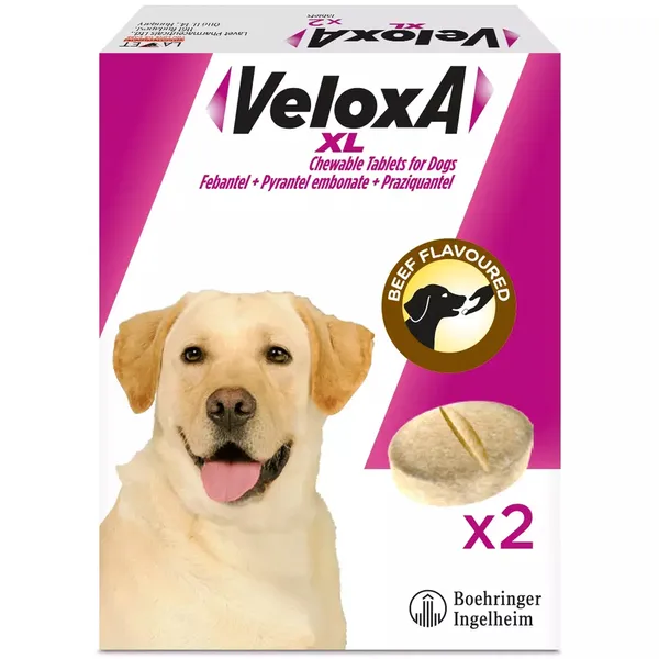 Veloxa XL Chewable Tablets for Dogs Pack of 2