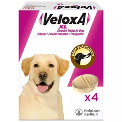 Veloxa XL Chewable Tablets for Dogs Pack of 4