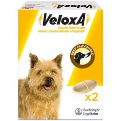 Veloxa Chewable Tablets for Dogs Pack of 2