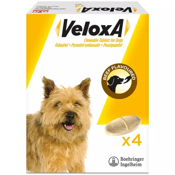 Veloxa Chewable Tablets for Dogs Pack of 4