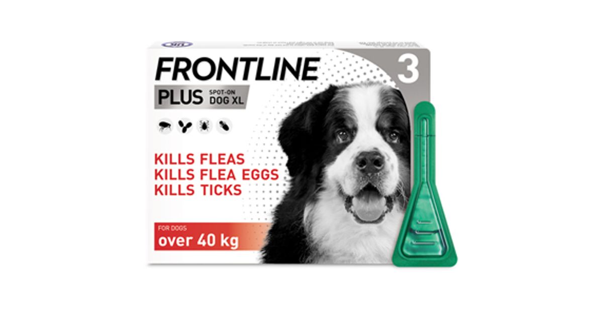 Frontline Plus Spot On Extra Large Dog Pipettes Pack Of 3