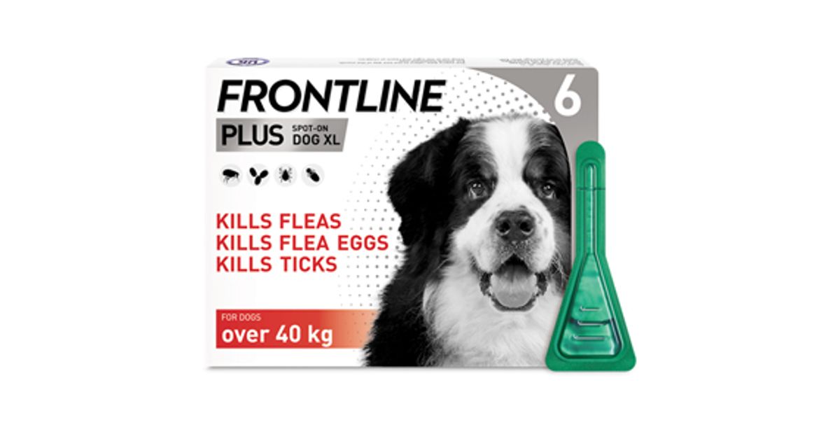 Frontline Plus Spot On Extra Large Dog Pipettes Pack of 6