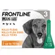 Frontline Plus Spot On Small Dog Pipettes Pack of 3
