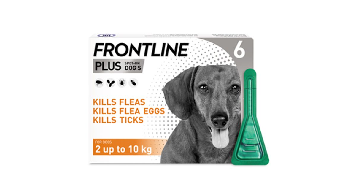 Frontline Plus Spot On Small Dog Pipettes Pack of 6