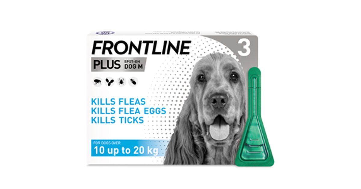 Frontline Plus Spot On Medium Dog Pipettes Pack of 3