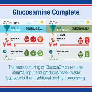 Lamberts Glucosamine Complete Tablets Pack of 120