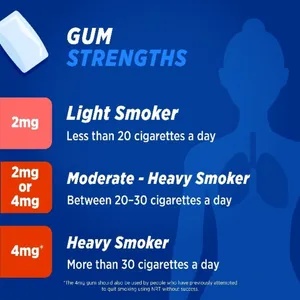 Nicotinell 2mg Chewing Gum Fruit Pack of 96