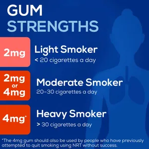 Nicotinell 2mg Chewing Gum Mint Pack of 96