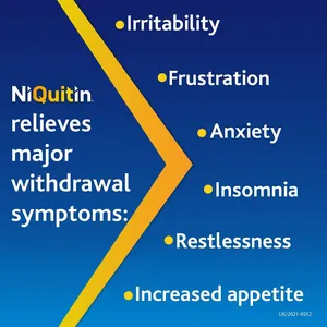 Niquitin Minis 4mg Mint Pack of 60