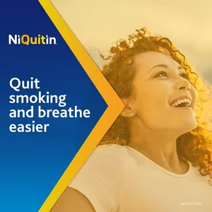 Niquitin Minis 4mg Mint Pack of 60
