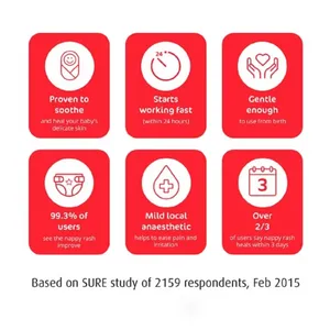 Sudocrem Antiseptic Cream 250g