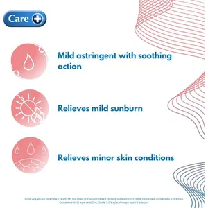 Care Aqueous Calamine Cream 100g