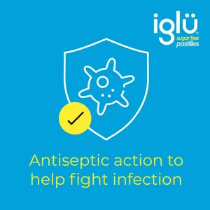 Iglu Sugar Free Pastilles for Mouth Ulcers Pack of 24