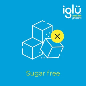 Iglu Sugar Free Pastilles for Mouth Ulcers Pack of 24