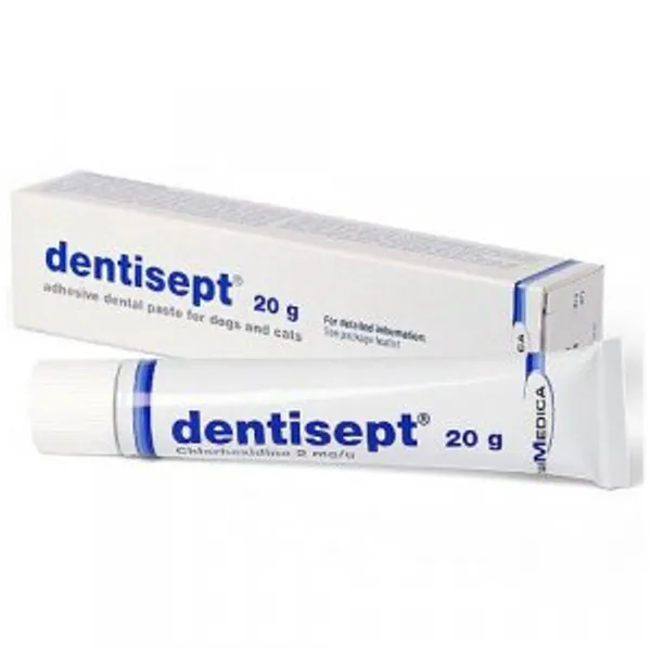 Dentisept Oral Paste 20g