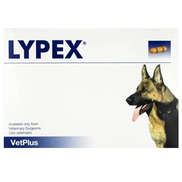 Lypex Pancreatic Enzyme Capsules for Dogs and Cats Pack of 60