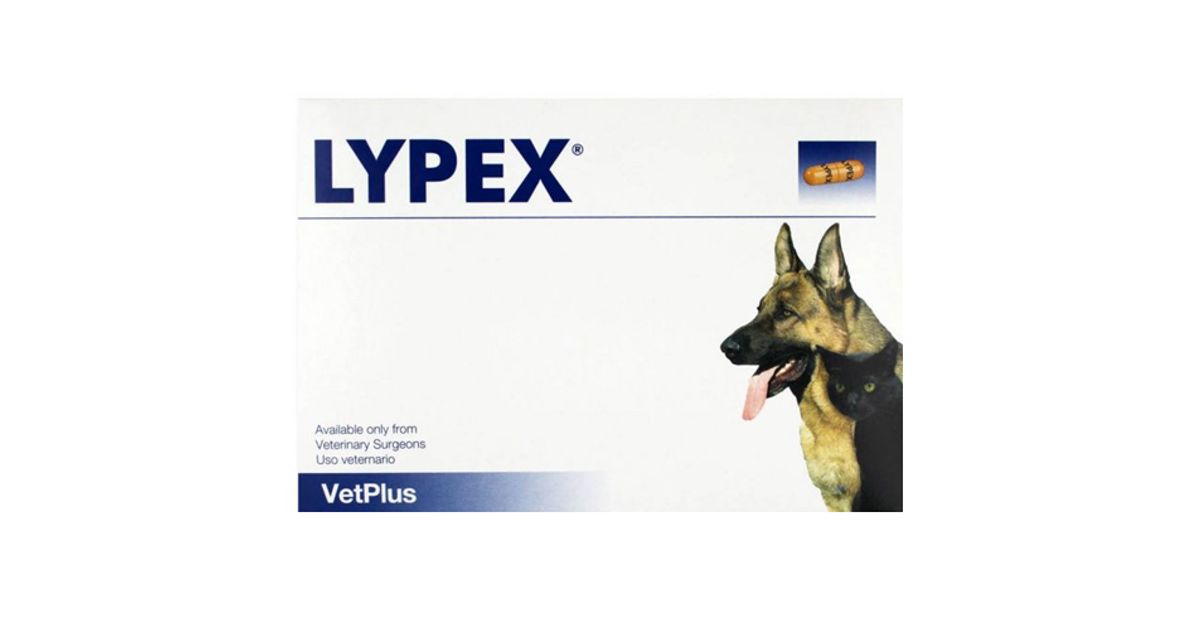 lypex capsules for dogs