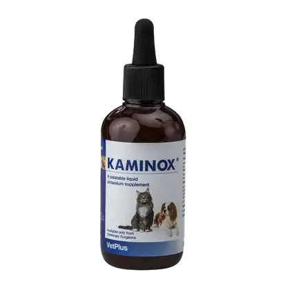 Kaminox Liquid Potassium Supplement 120ml