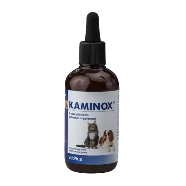 Kaminox Liquid Potassium Supplement 120ml