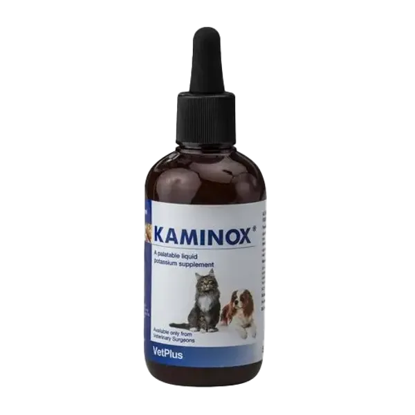 Kaminox Liquid Potassium Supplement 60ml