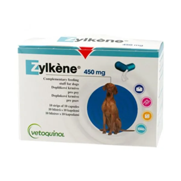 Zylkene for large store dogs