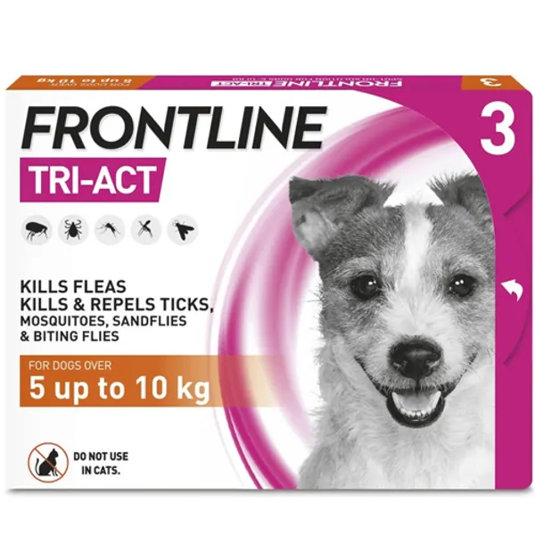 Frontline small hot sale