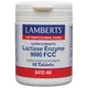 Lamberts Lactase Enzyme 9000 FCC Pack of 60