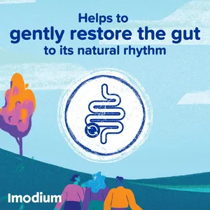 Imodium Instants Melts Diarrhoea Relief Pack of 12