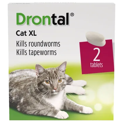 Drontal Cat XL Tape & Roundworm Tablets Pack of 2