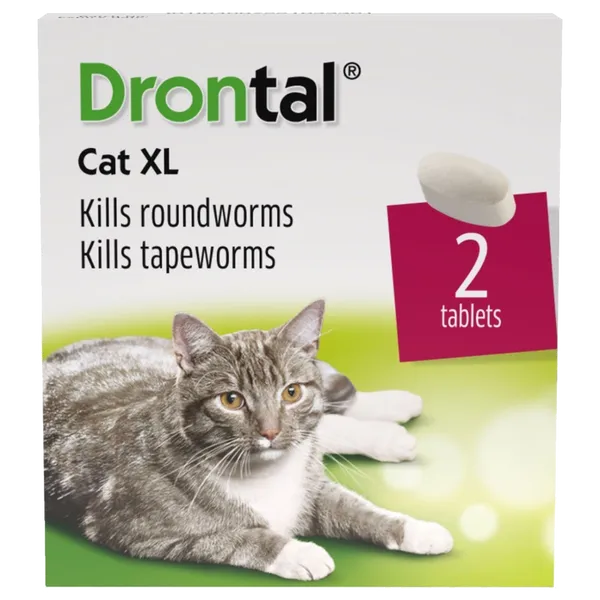 Drontal tapeworm 2024 tablets for dogs