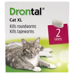 Drontal Cat XL Tape & Roundworm Tablets Pack of 2